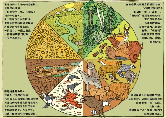 书中趣味呈现不同环境下的生态圈。贵州人民出版社 蒲公英童书馆供图