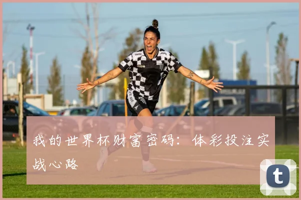 我的世界杯财富密码:体彩投注实战心路