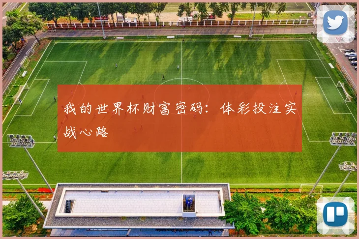 我的世界杯财富密码：体彩投注实战心路