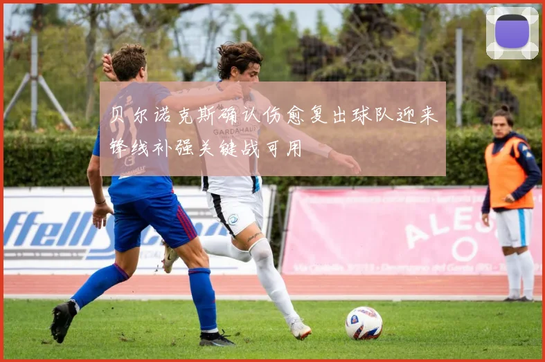贝尔诺克斯确认伤愈复出球队迎来锋线补强关键战可用