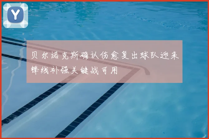 贝尔诺克斯确认伤愈复出球队迎来锋线补强关键战可用