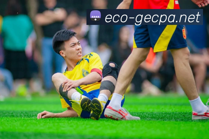 世界杯平台官网登录APP 高清赛事图